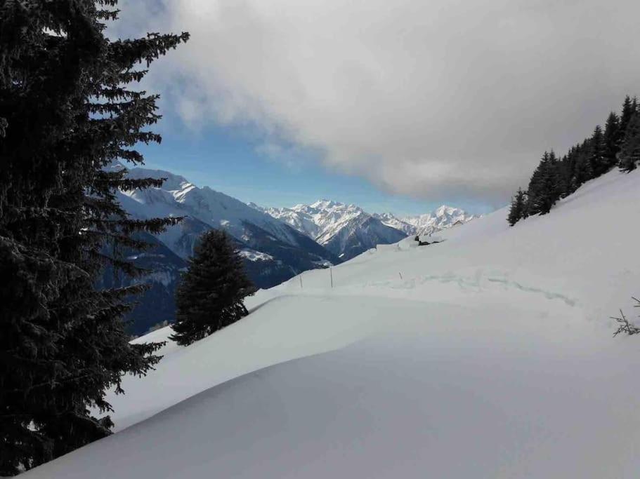 Apartment Fiesch-lax Minnig Moritz *
